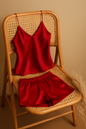 Satin Sleepwear Set Featuring A Luxe Camisole And Shorts Silky Soft, Lightweight - Free Size